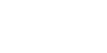 Puntalyser Logo